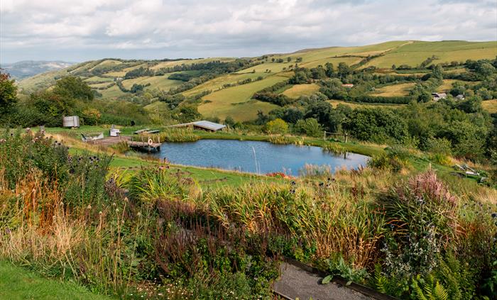 View of pond at the lavender farm